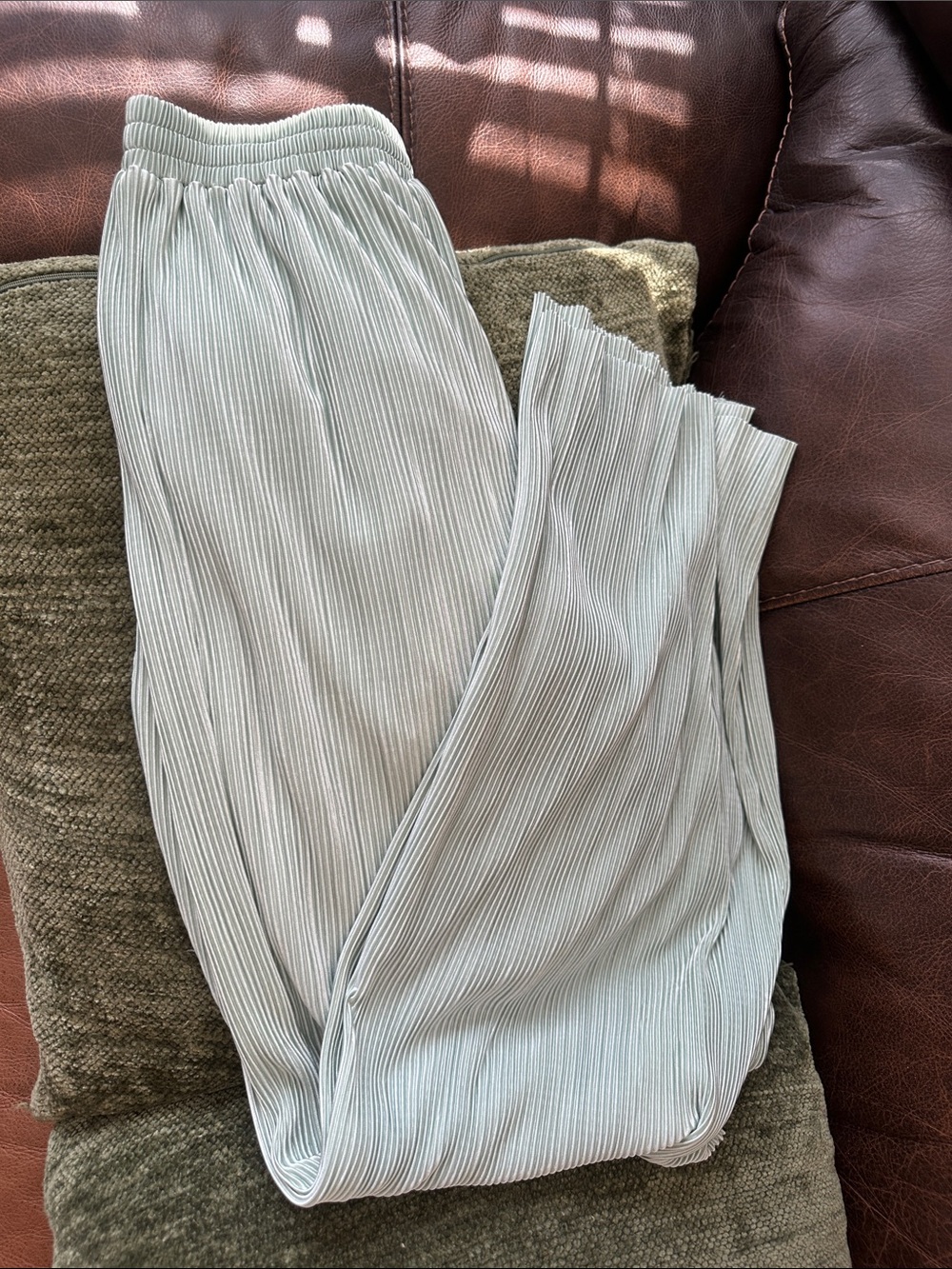 Vici x Summer of Diane 

Light Sage Pleated Wide-Leg Pants